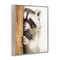 Stupell Industries Peering Raccoon Watercolor Framed Giclee Art